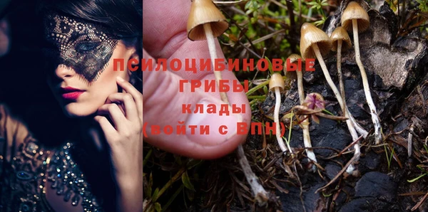 стаф Волоколамск