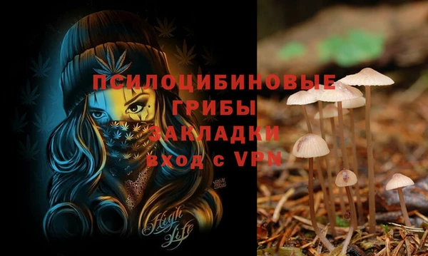 винт Володарск