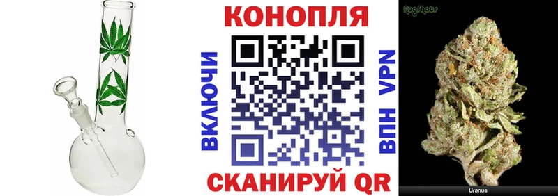 Шишки марихуана THC 21%  кракен онион  Вуктыл  купить наркотики сайты 
